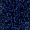 Miniatura de foto de Pelo azulina