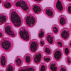 Miniatura de foto de Encaje tul bordado con lentejuelas rosa fucsia
