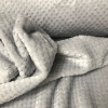 Miniatura de foto de Coralina lisa textura gris