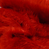 Miniatura de foto de Pelo liso largo rojo fuego